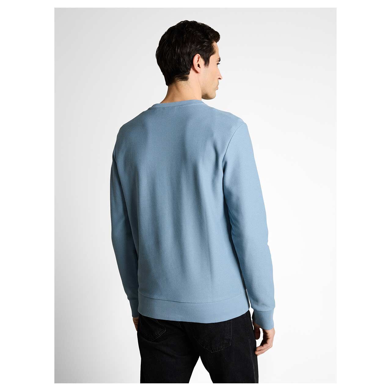 Herren Sweatshirt Structured Crewneck von Tom Tailor in Hellblau, Rückansicht am Model