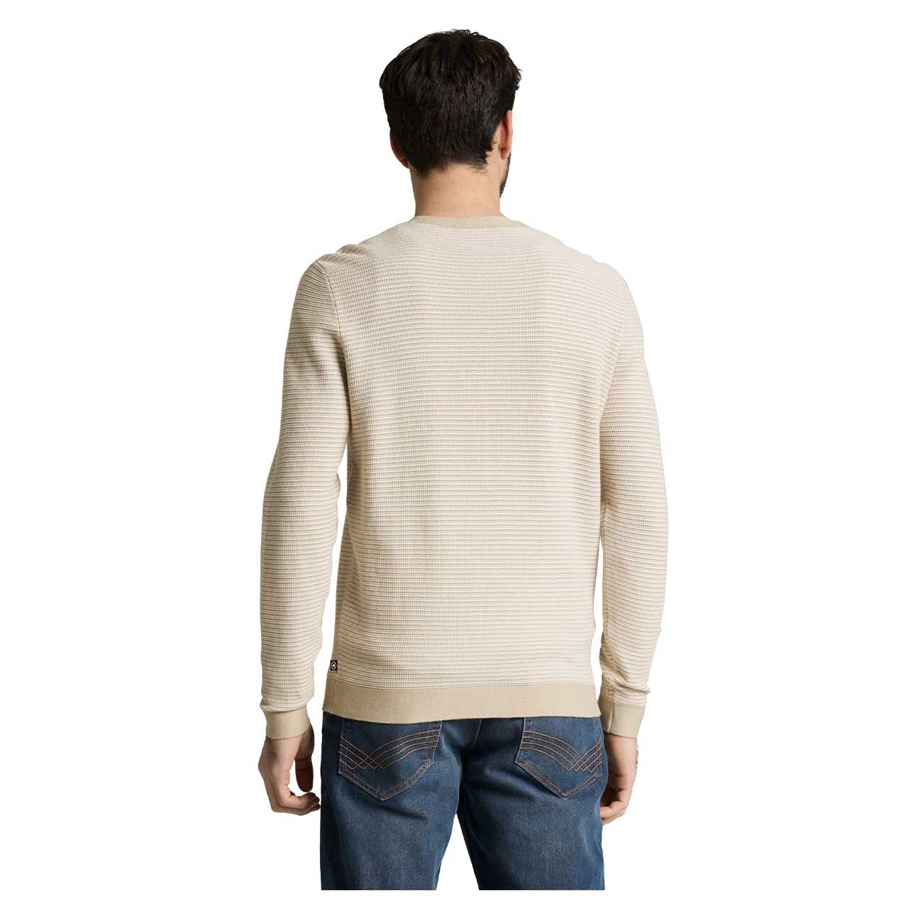 Herren Pullover Striped Crewneck von Tom Tailor in Beige, Rückansicht am Model