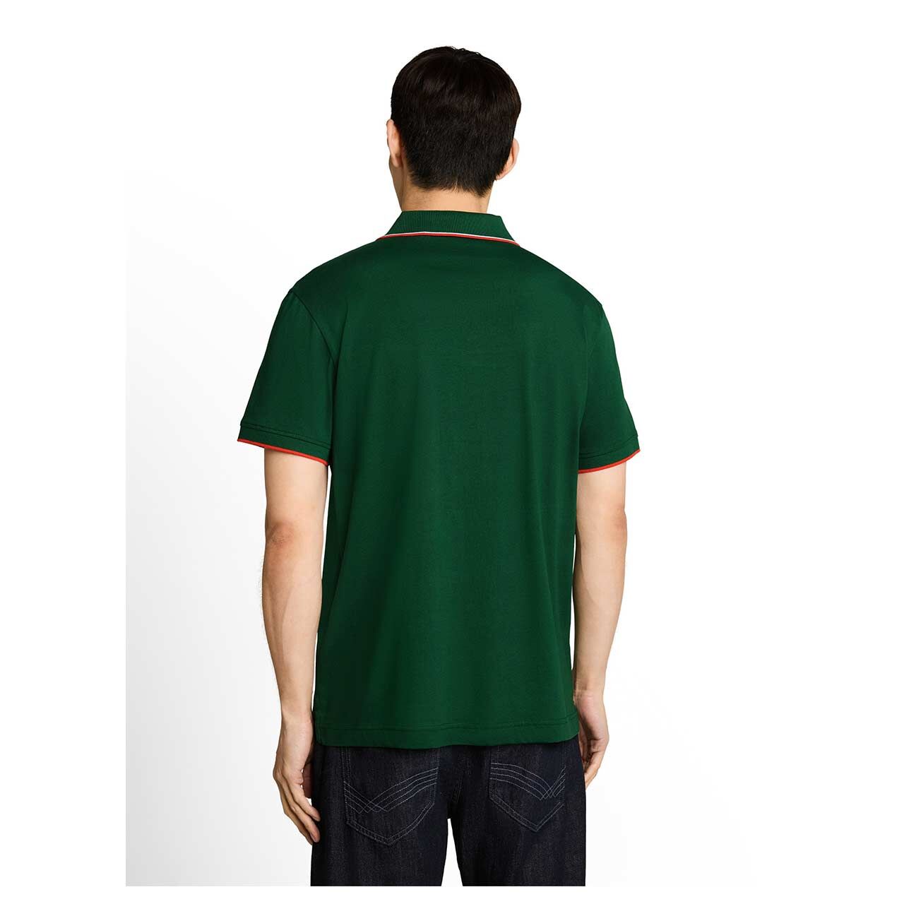 Herren Poloshirt von Tom Tailor in Grün mit Print, Rückansicht am Model