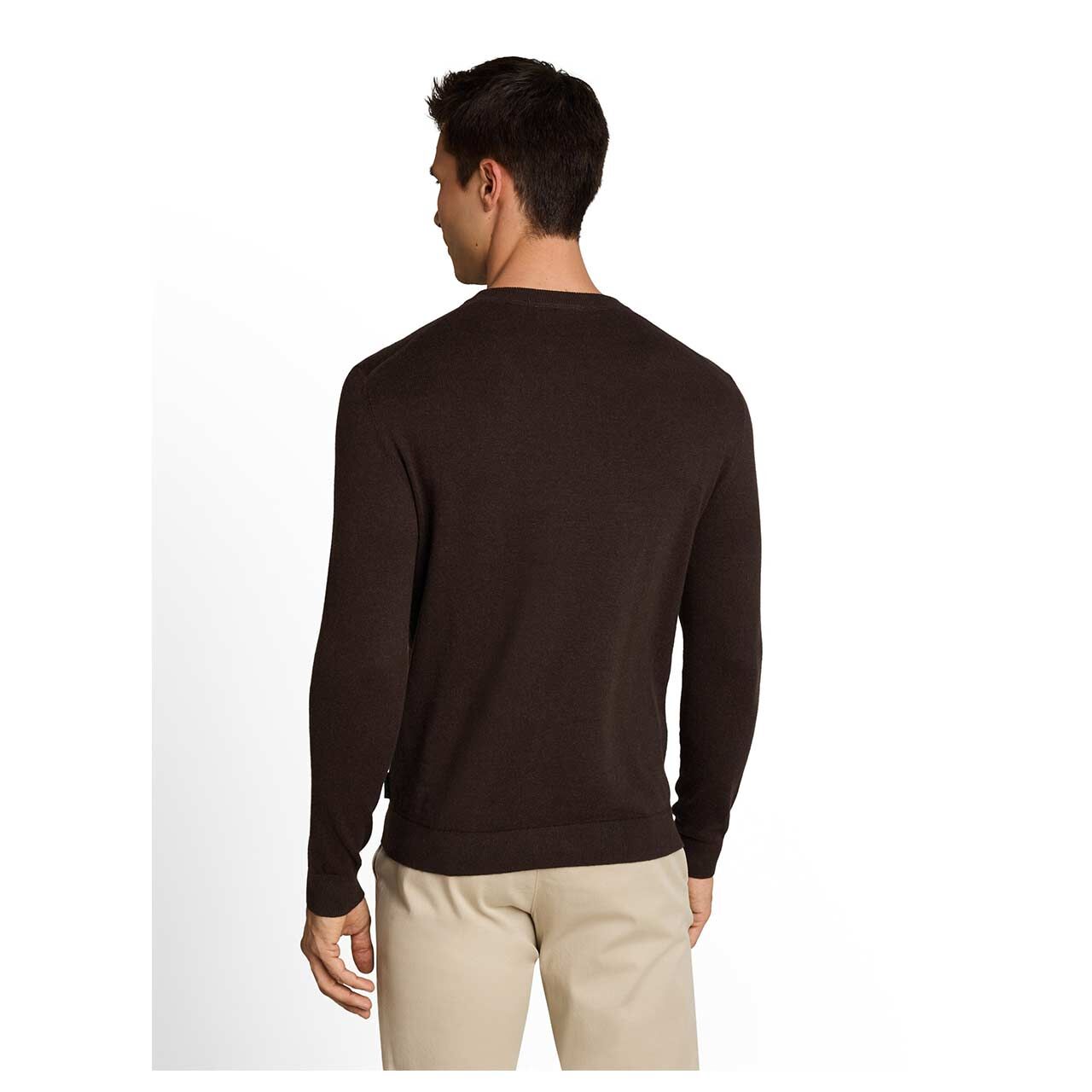 Herren Pullover Cashmere Crewneck Knit von Tom Tailor in Dunkelbraun meliert, Rückansicht am Model