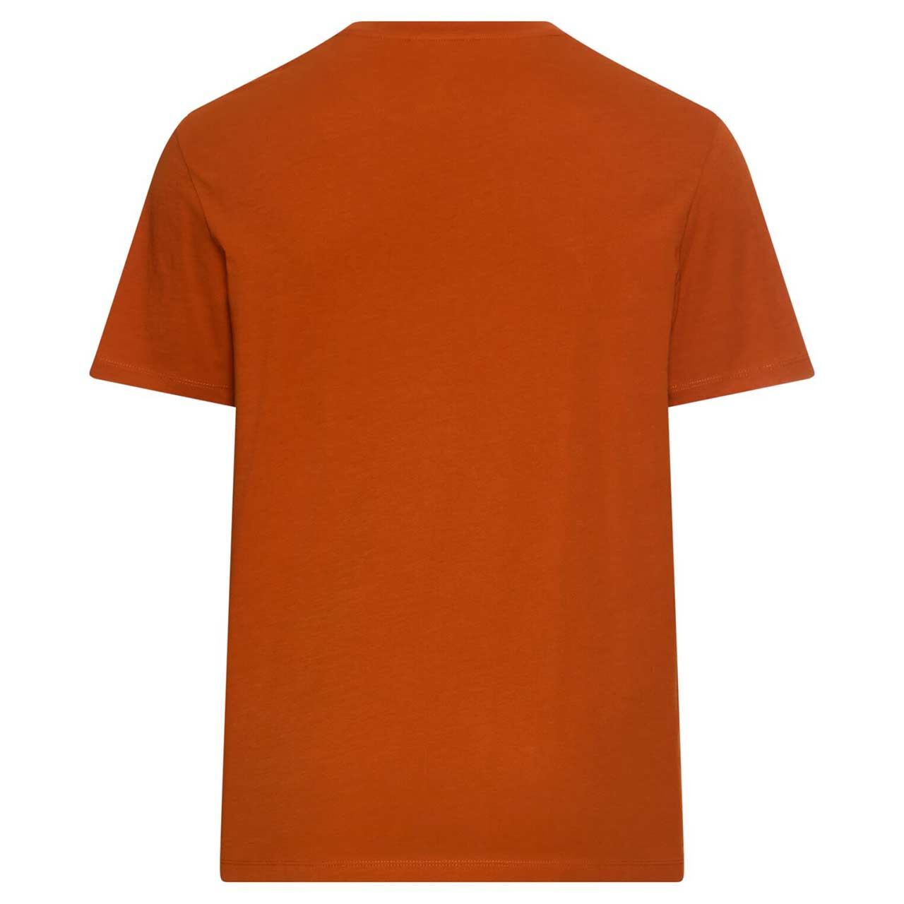 Herren T-Shirt von Camel active in Rot-Braun, Rückansicht
