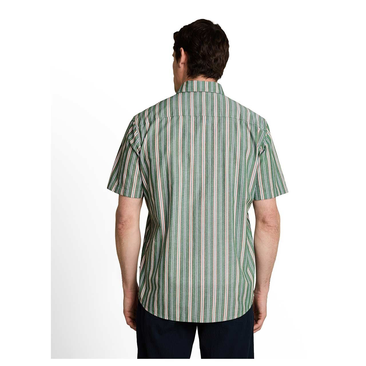 Herren 1/2 Arm Hemd Oxford von Tom Tailor in Grün gestreift, Rückansicht am Model