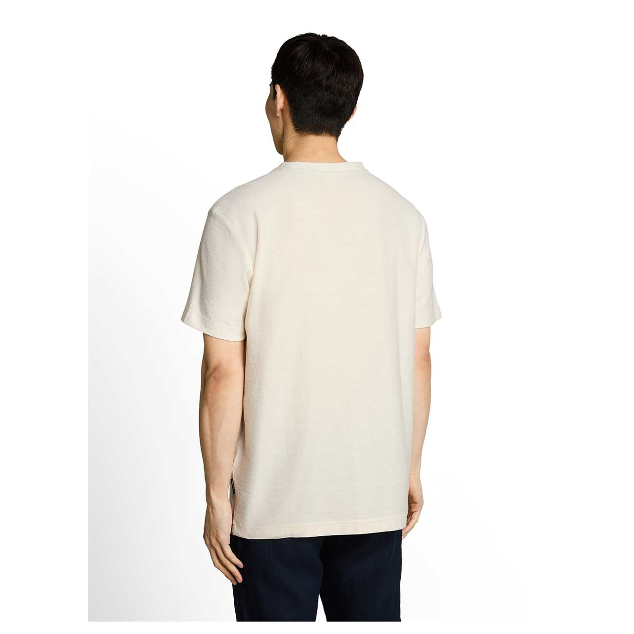 Herren T-Shirt von Tom Tailor in Cremeweiß, Rückansicht am Model