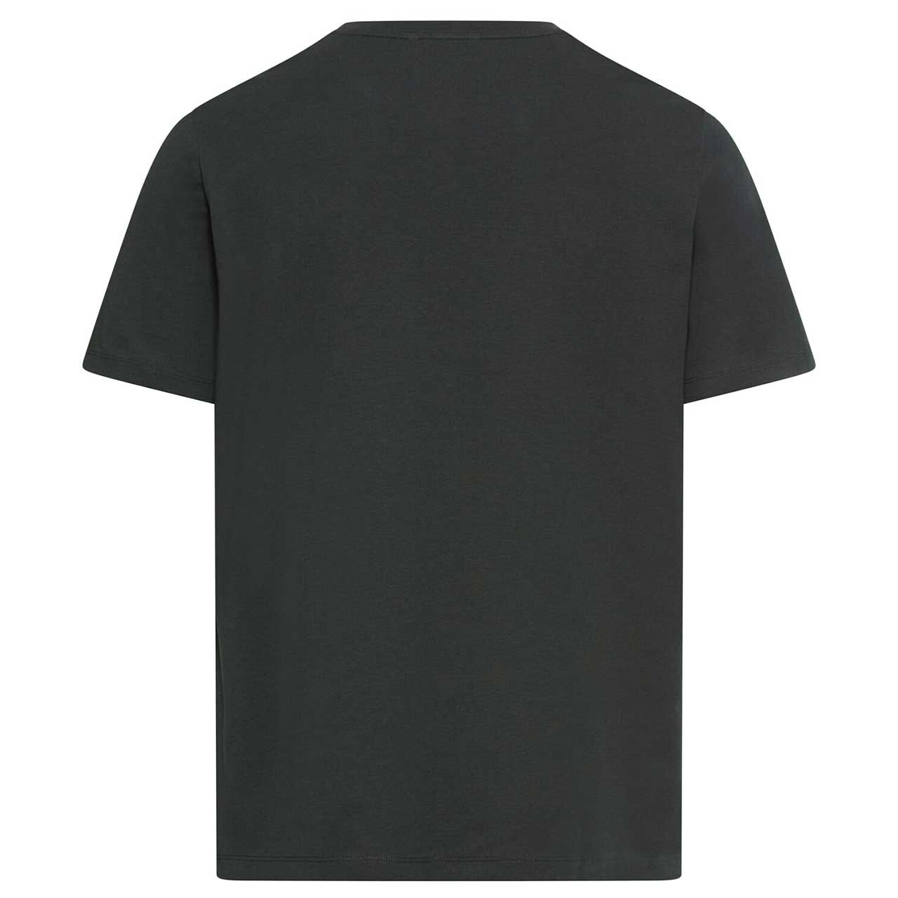 Herren T-Shirt von Camel active in Dunkelgrau, Rückansicht