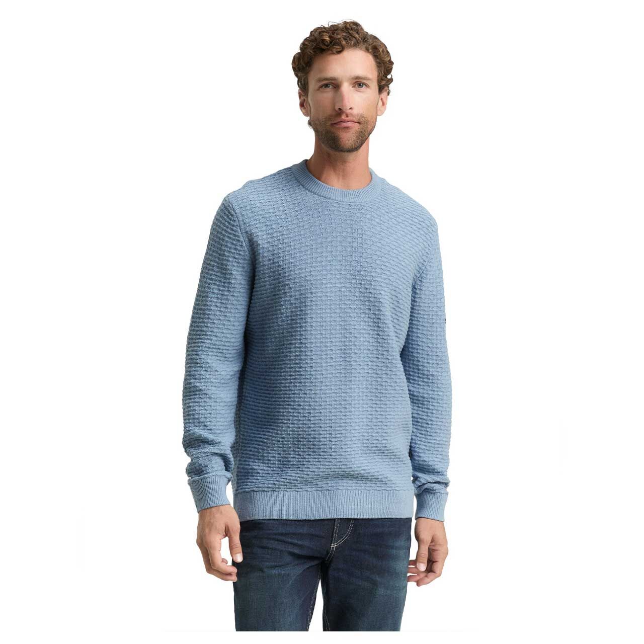 Herren Pullover Structured Crewneck von Tom Tailor in Hellblau, Vorderansicht am Model