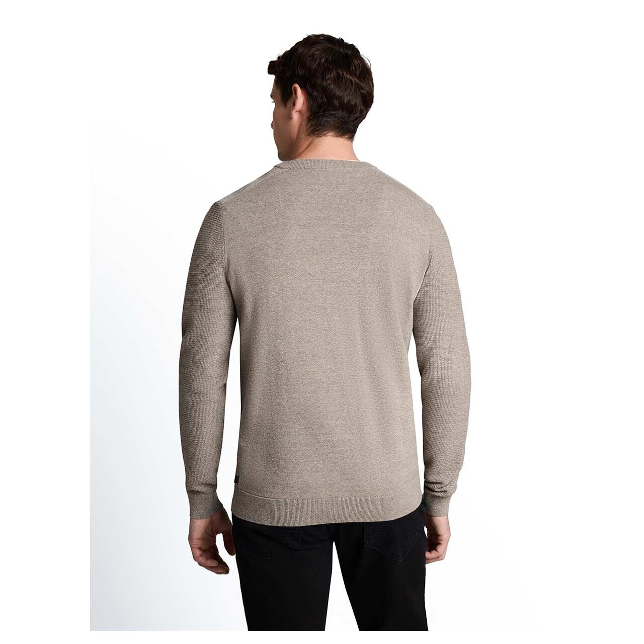 Herren Pullover Structured Crew Neck Knit von Tom Tailor in Beige meliert, Rückansicht am Model