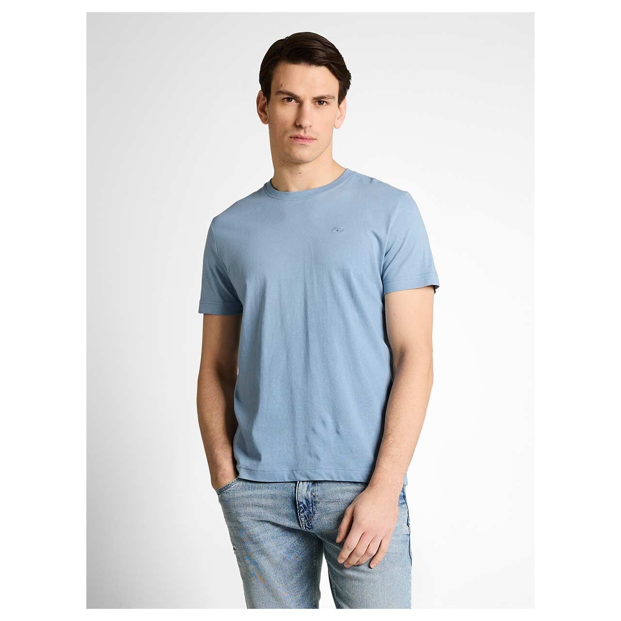 Herren T-Shirt von Tom Tailor in Blau, Vorderansicht am Model