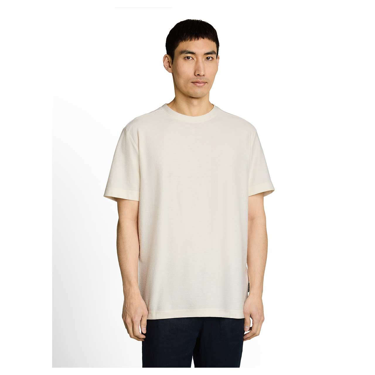 Herren T-Shirt von Tom Tailor in Cremeweiß, Vorderansicht am Model