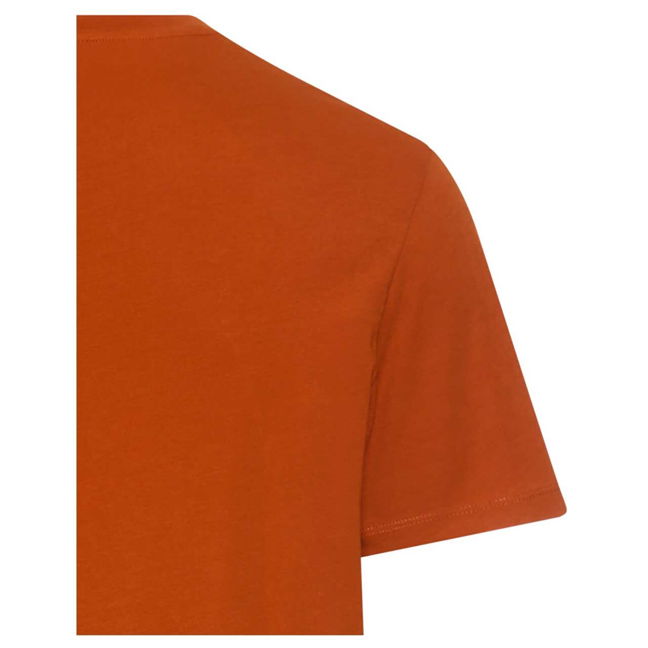 Herren T-Shirt von Camel active in Rot-Braun, detaillierte Rückansicht