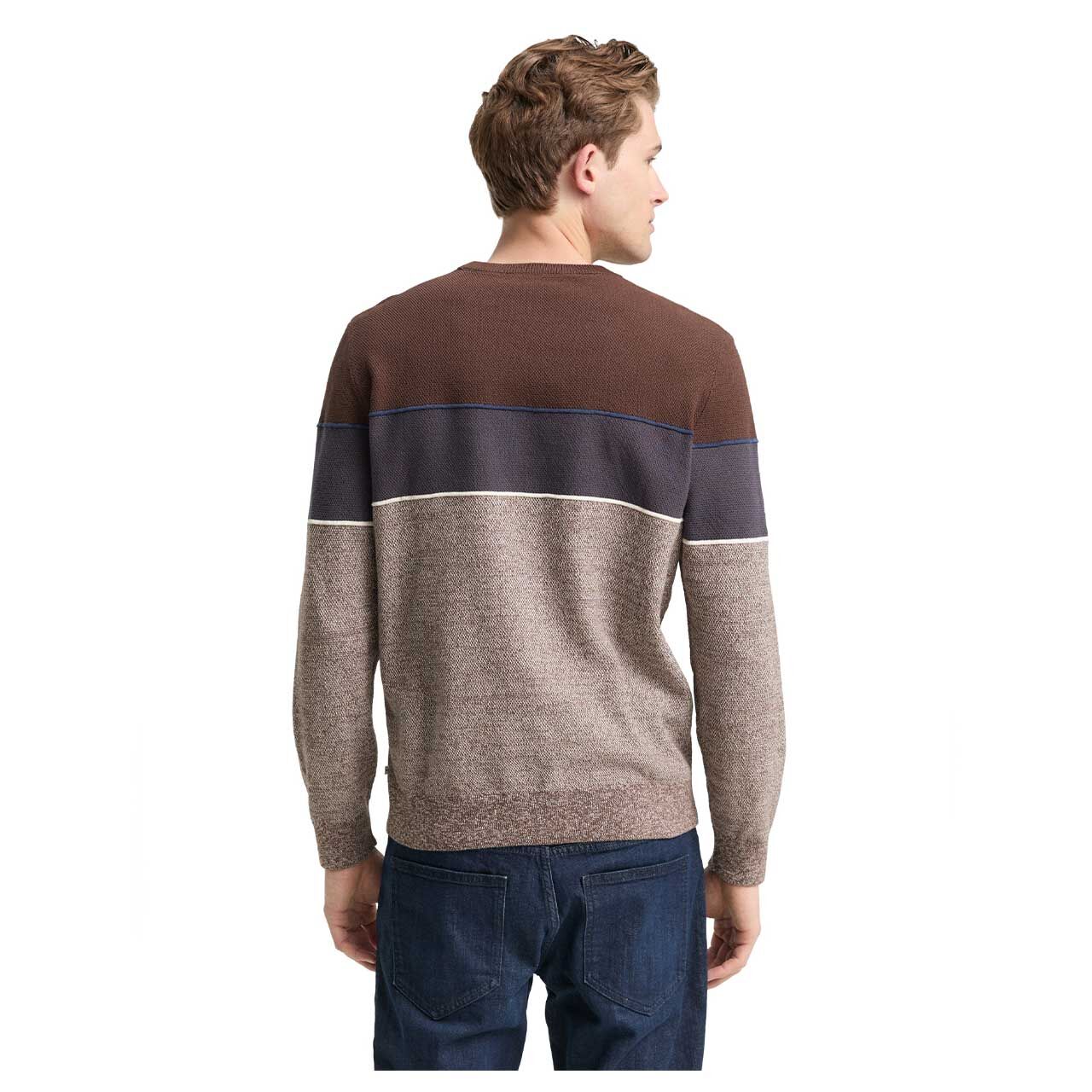 Herren Pullover Knit Crewneck von Tom Tailor in Braun gestreift, Rückansicht am Model