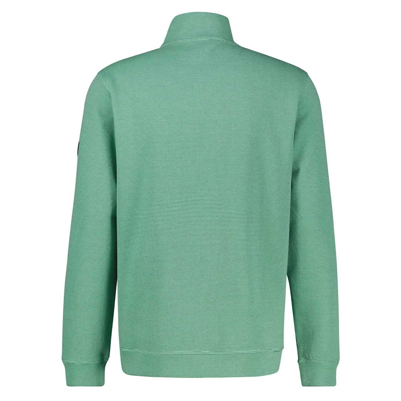 Herren Sweatjacke von Lerros in Hellgrün, Rückansicht