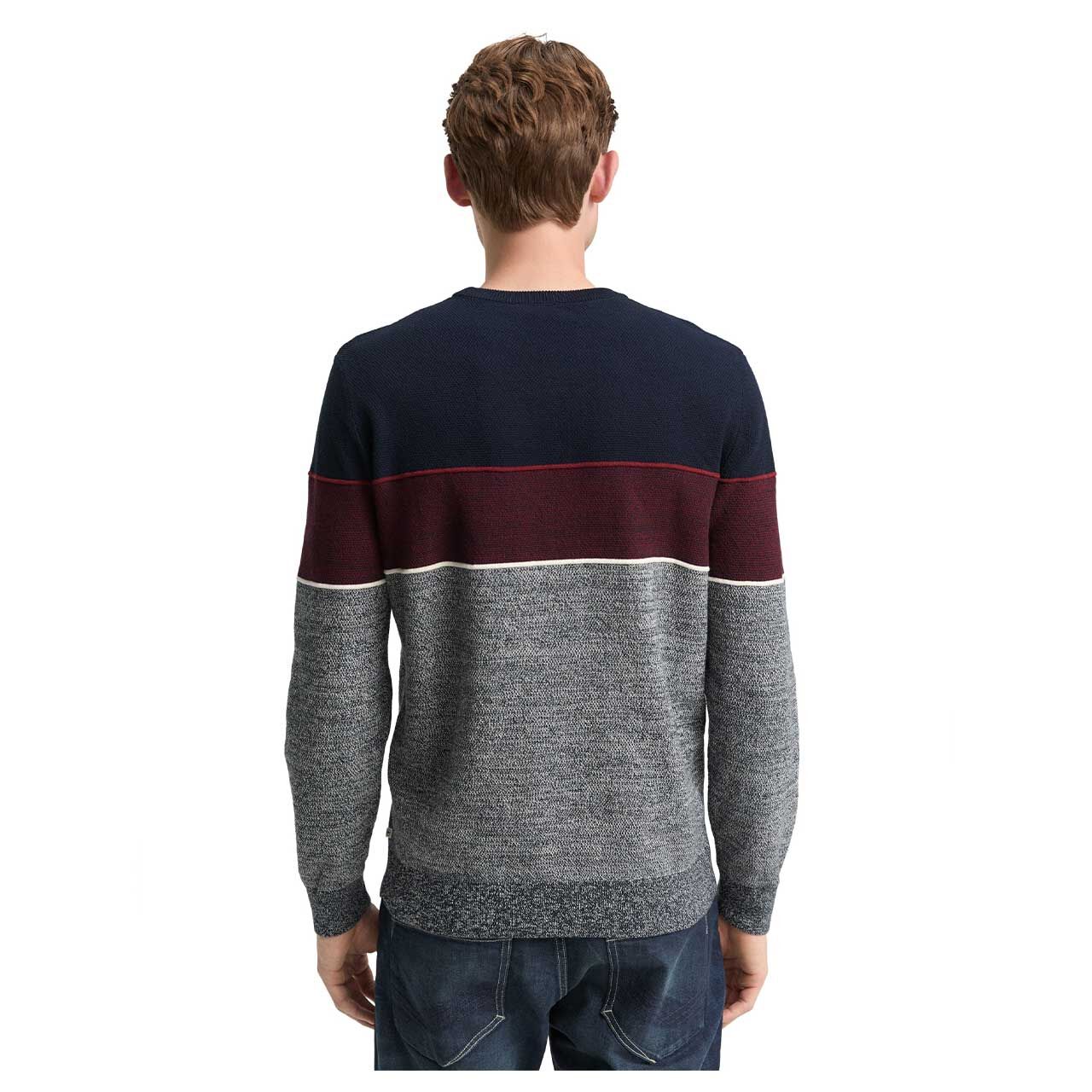 Herren Pullover Knit Crewneck von Tom Tailor in Dunkelblau gestreift, Rückansicht am Model