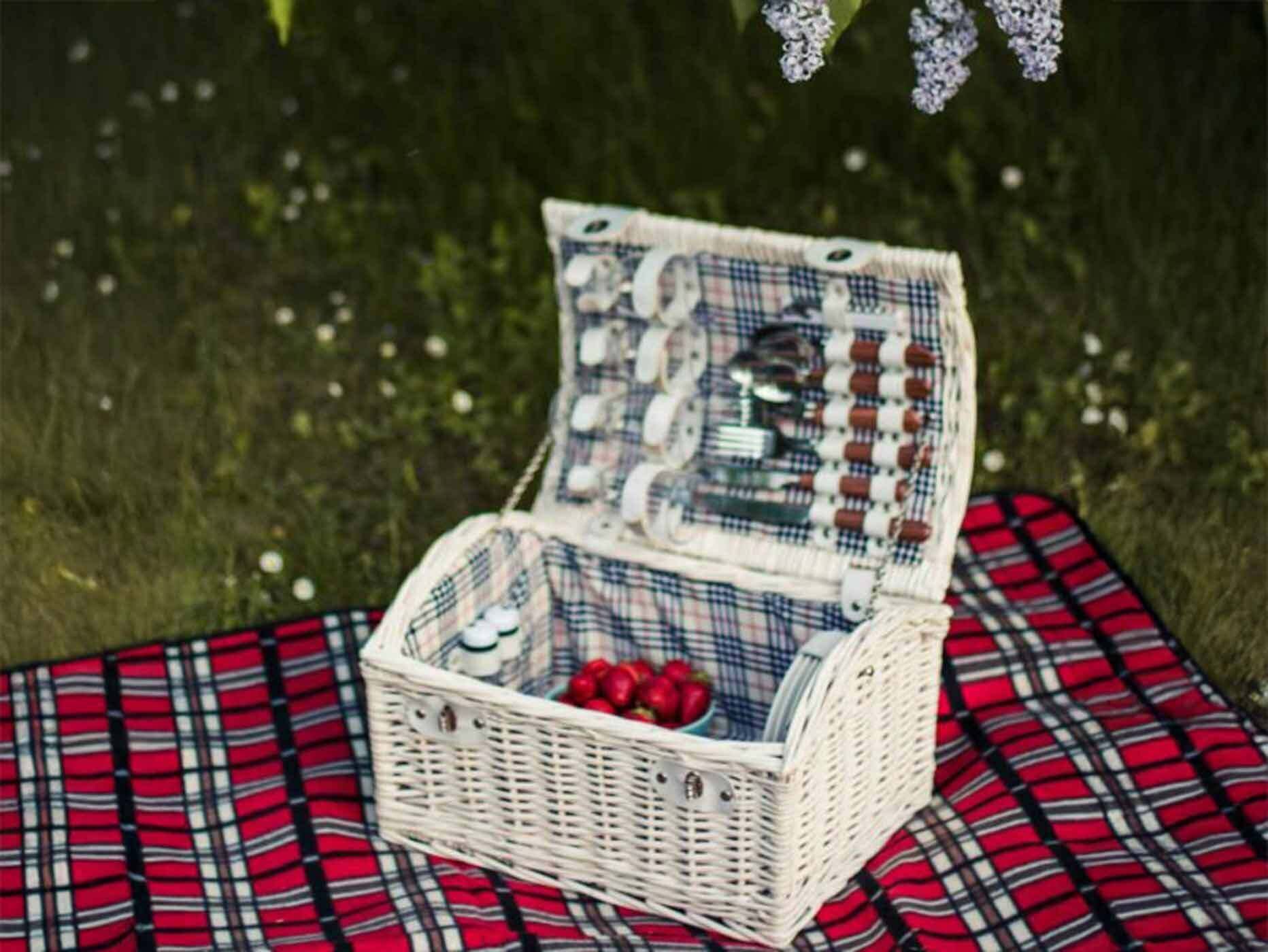 Ein wei&szlig;er Picknickkorb steht auf einer Picknickdecke auf einer Wiese.