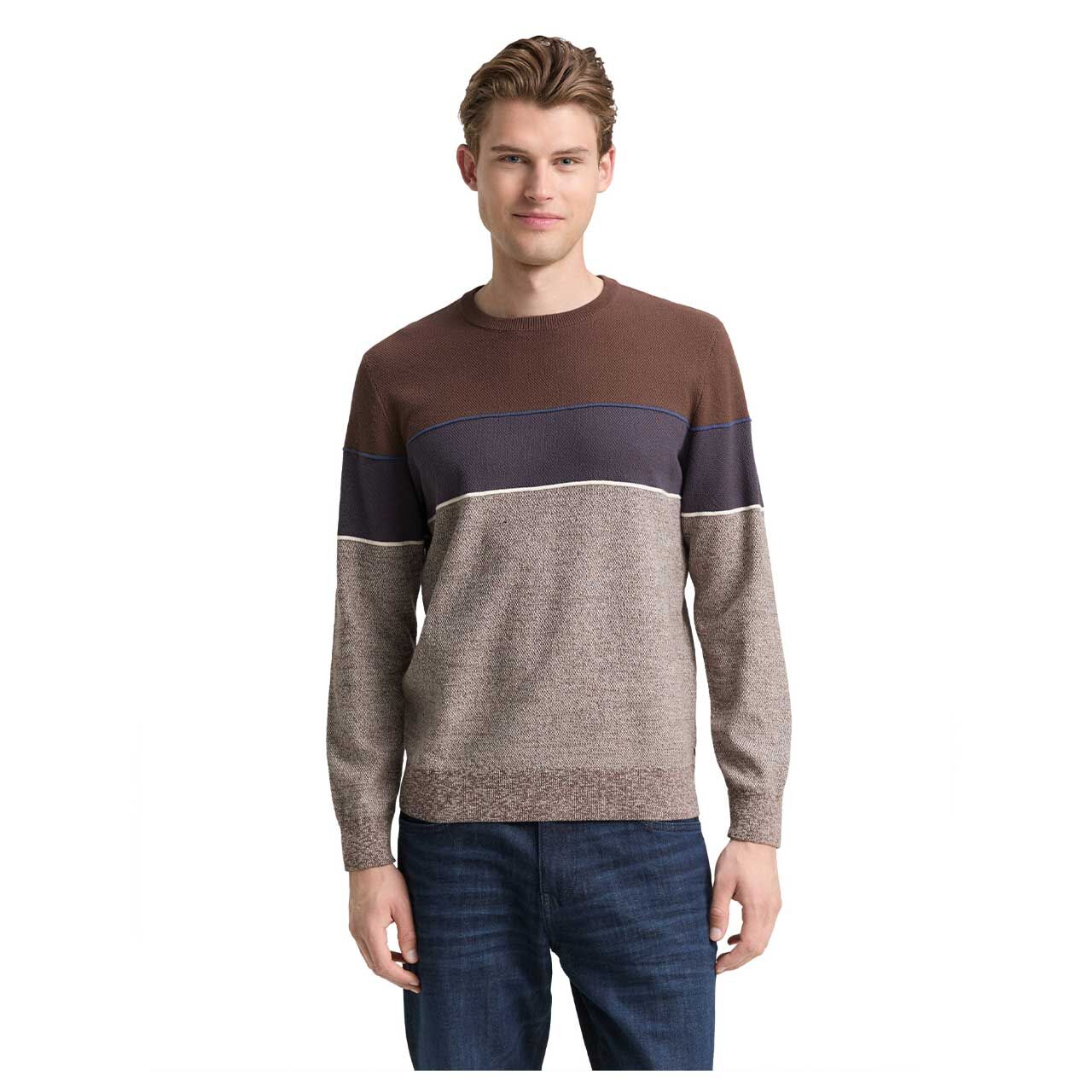 Herren Pullover Knit Crewneck von Tom Tailor in Braun gestreift, Vorderansicht am Model