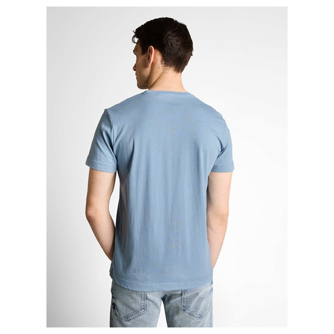 Herren T-Shirt von Tom Tailor in Blau, Rückansicht am Model