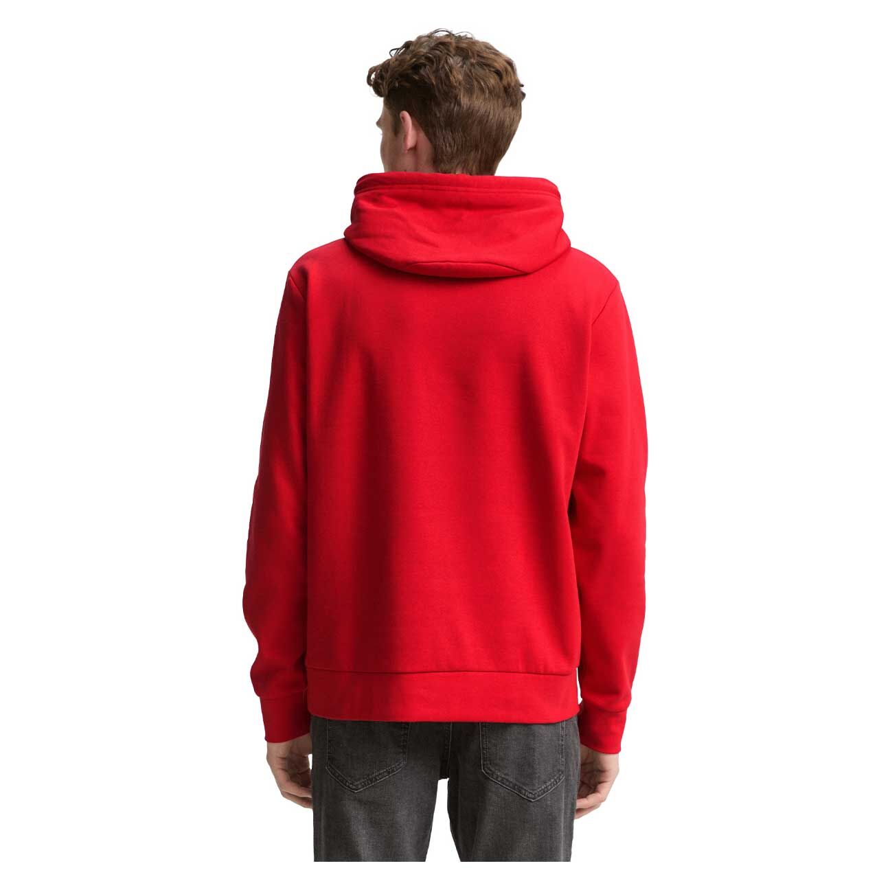 Herren Hoodie Sweatshirt von Tom Tailor in Rot mit Print, Rückansicht am Model