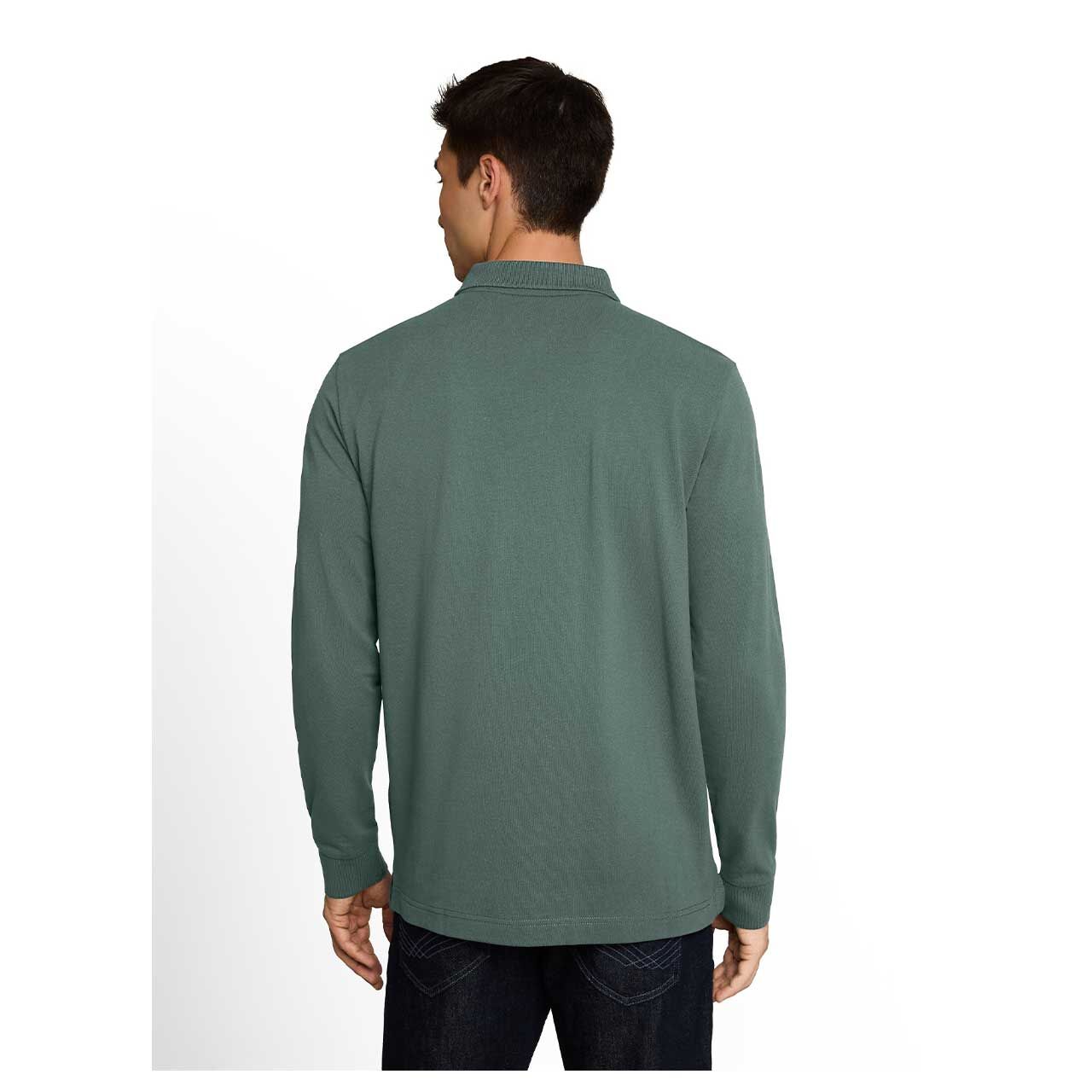 Herren Polo Pullover Basic Longsleeve von Tom Tailor in Olivgrün, Rückansicht am Model