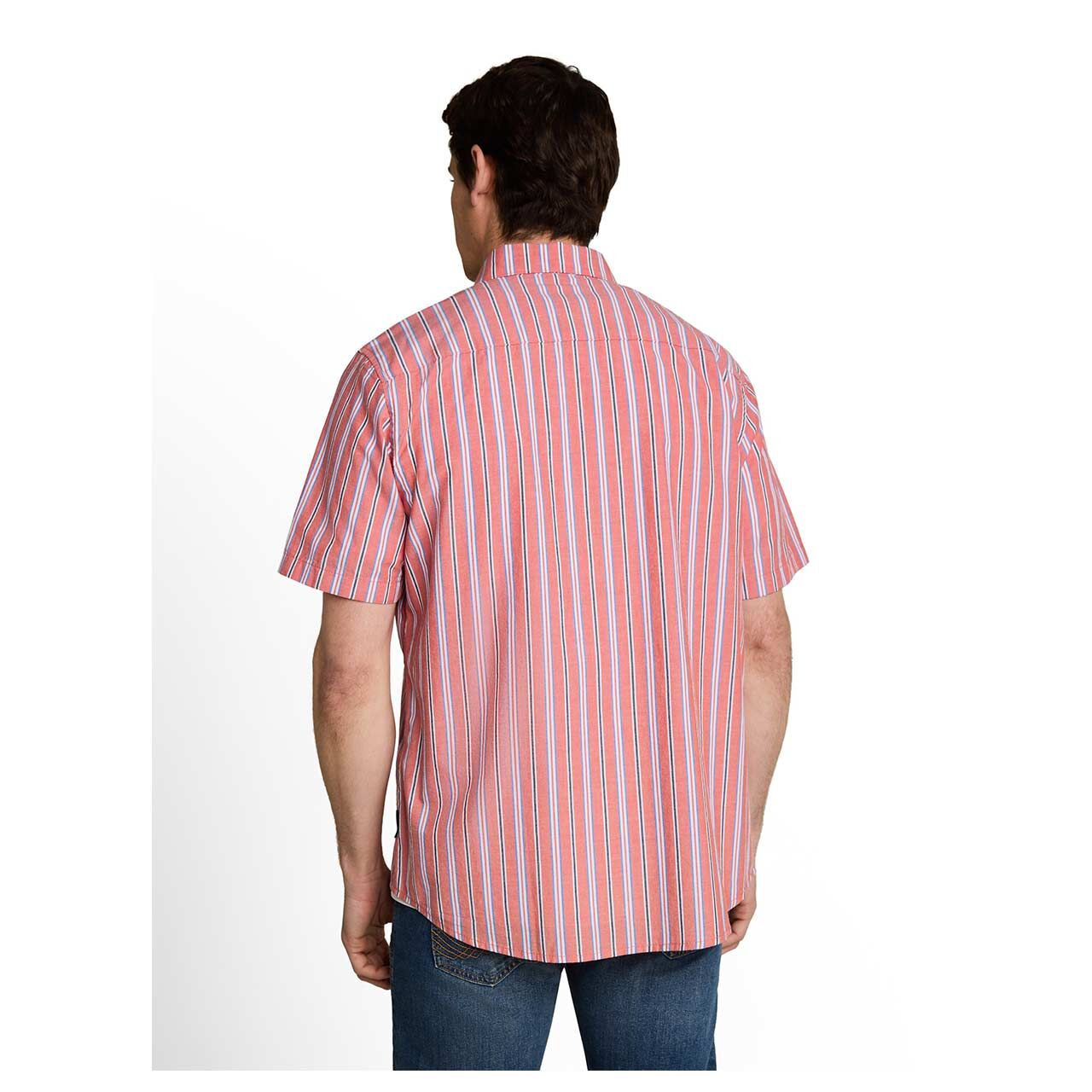 Herren 1/2 Arm Hemd Oxford von Tom Tailor in Rot gestreift, Rückansicht am Model
