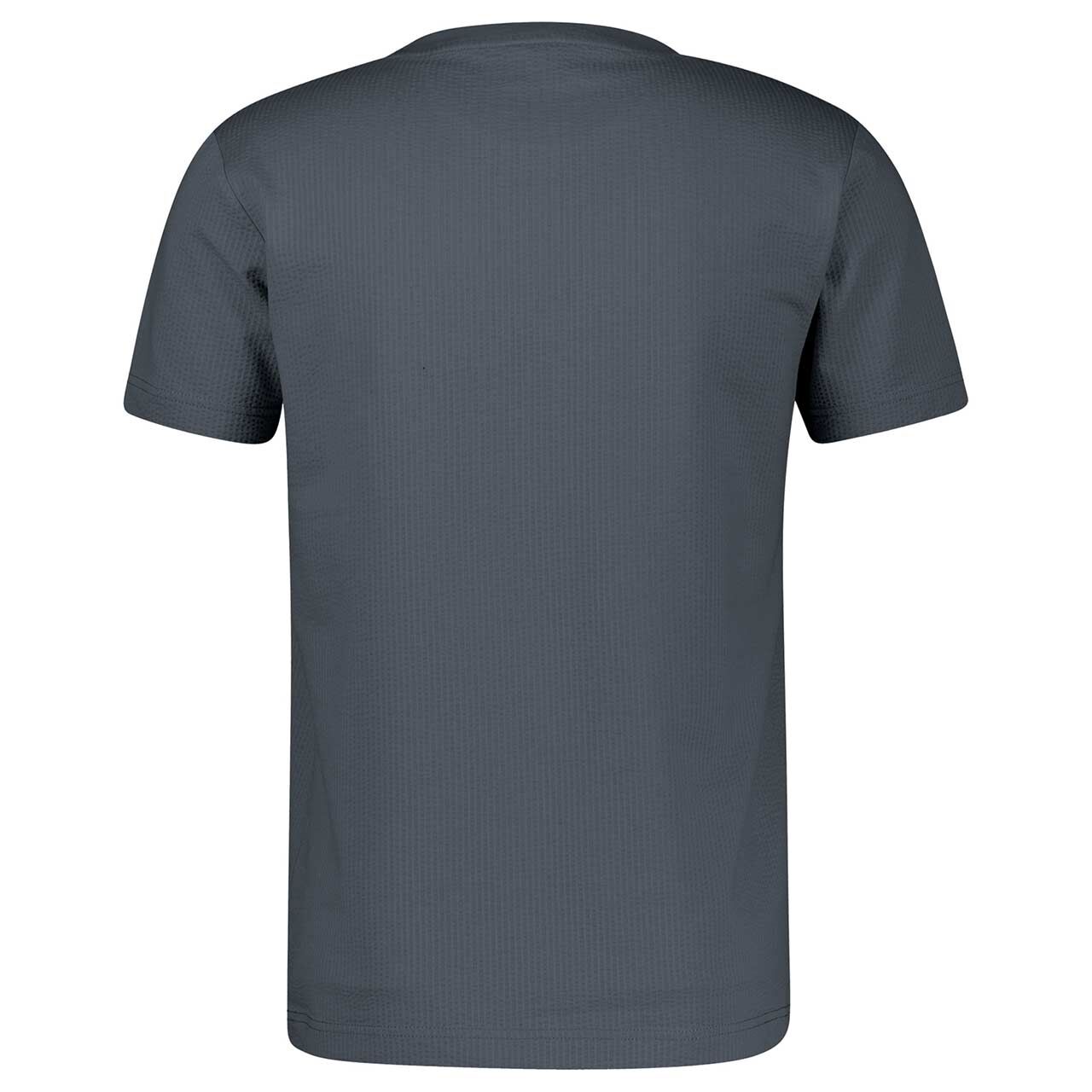 Herren T-Shirt von Lerros in Grau, Rückansicht