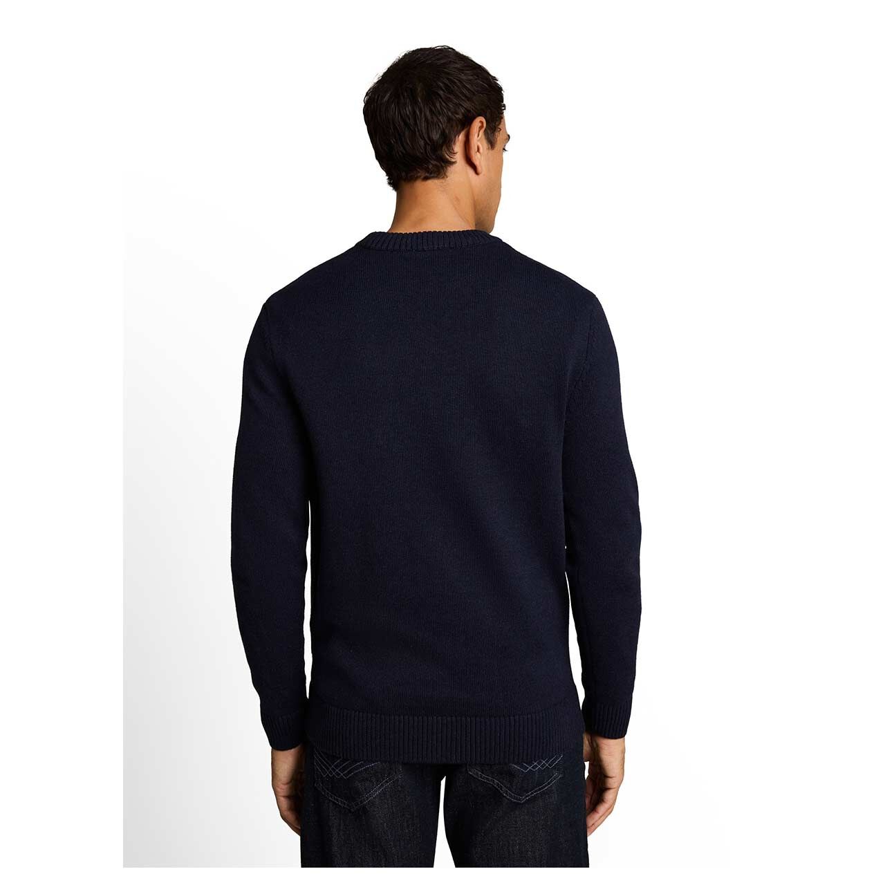 Herren Pullover Crew Neck Knit von Tom Tailor in Dunkelblau meliert, Rückansicht am Model