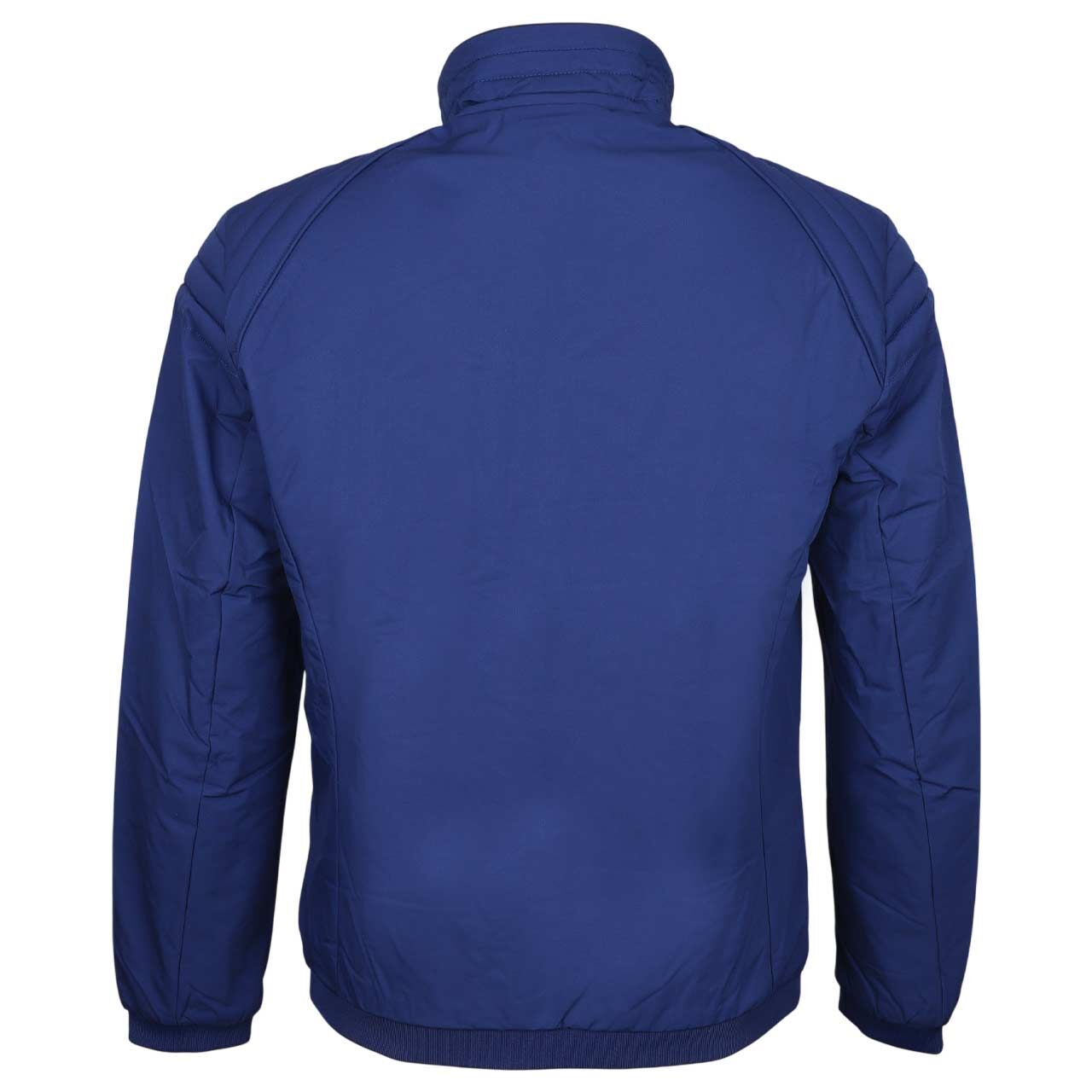 Herren Jacke Dragon Men von Wellensteyn in Königsblau, Rückansicht