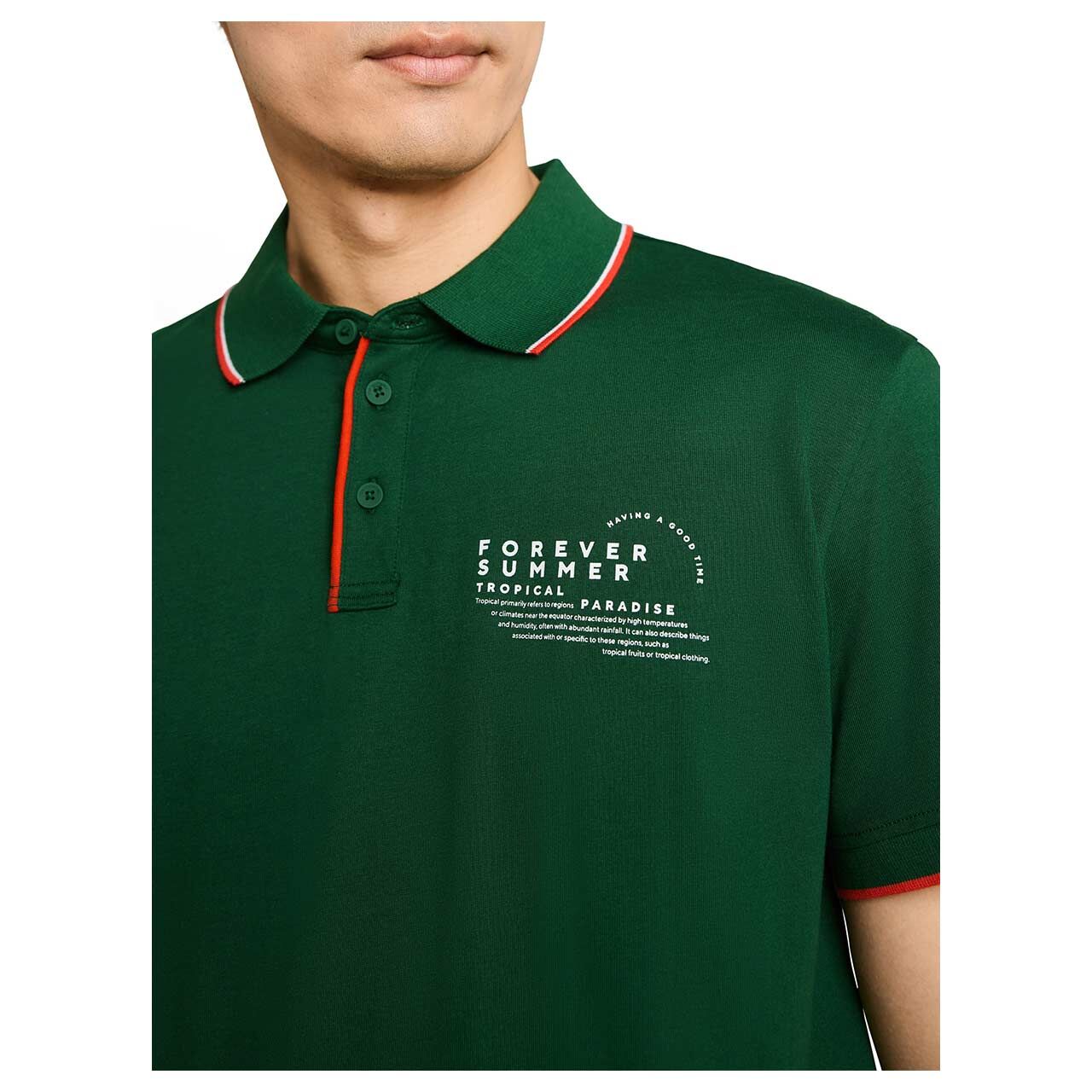 Herren Poloshirt von Tom Tailor in Grün mit Print, detaillierte Vorderansicht am Model