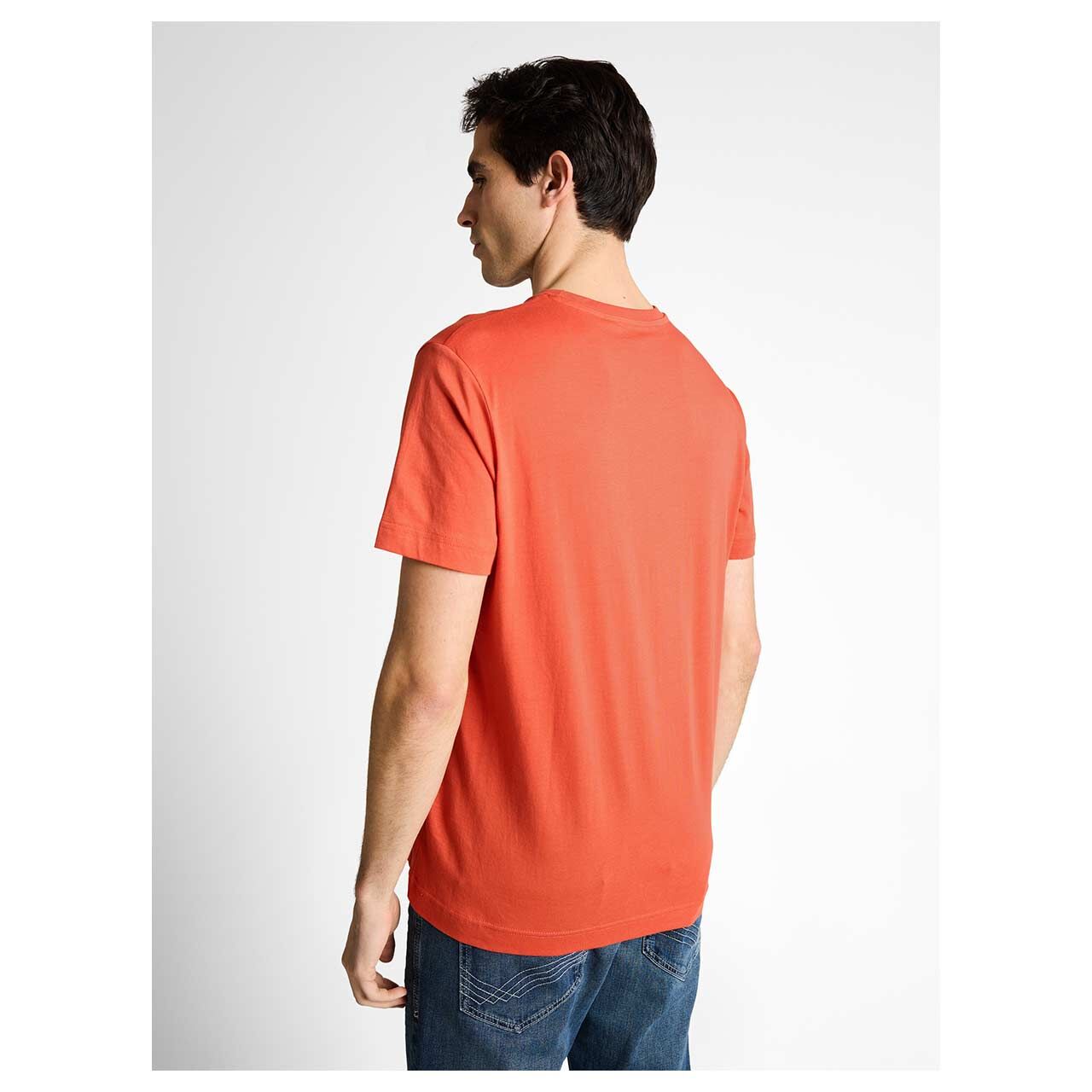 Herren T-Shirt von Tom Tailor in Orange, Rückansicht am Model