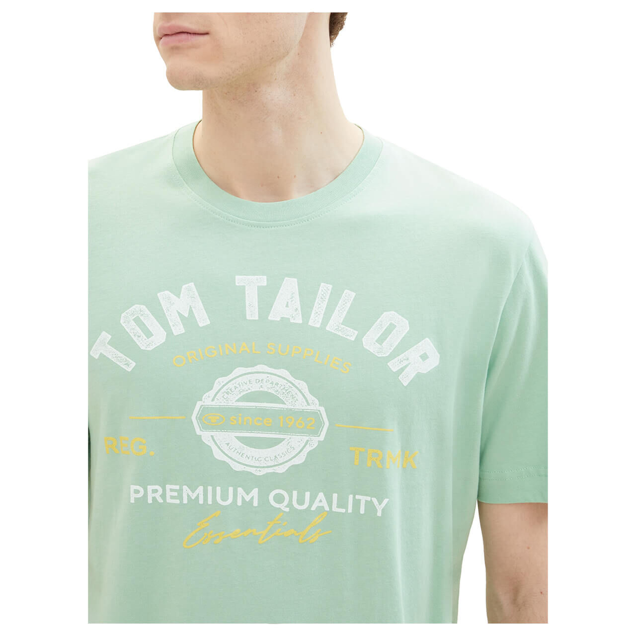 Tom Tailor Herren T-Shirt paradise mint logo print