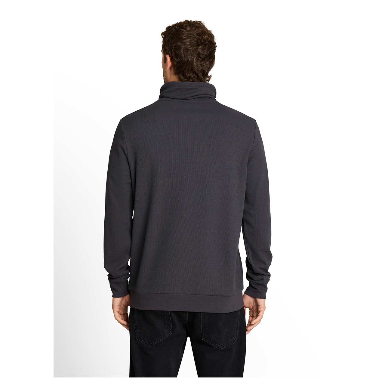 Herren Pullover Structured Snood von Tom Tailor in Dunkelgrau, Rückansicht am Model