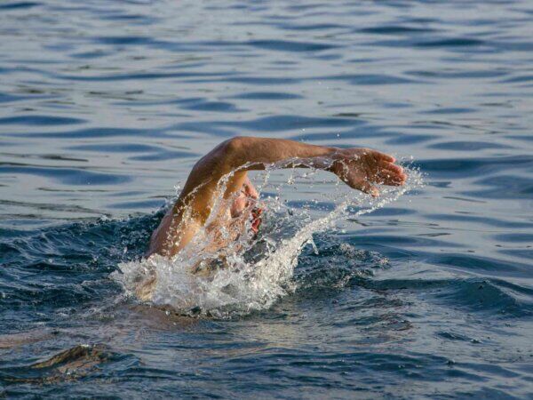 Ein Mann macht Kraulschwimmen im Wasser.