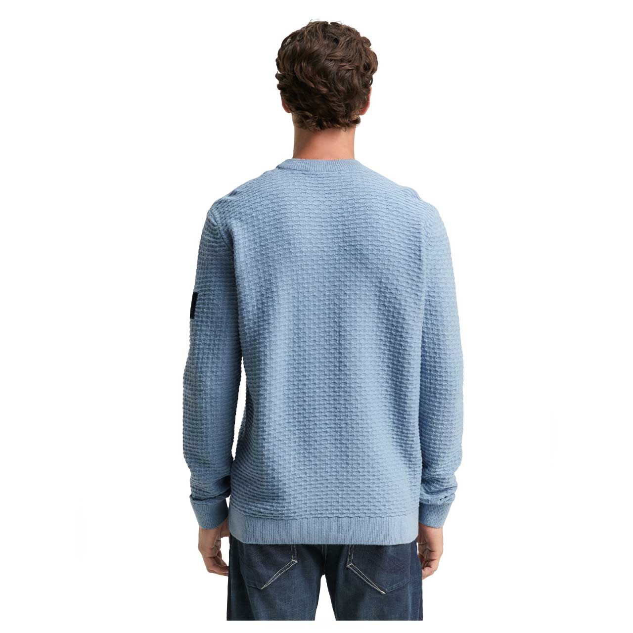 Herren Pullover Structured Crewneck von Tom Tailor in Hellblau, Rückansicht am Model