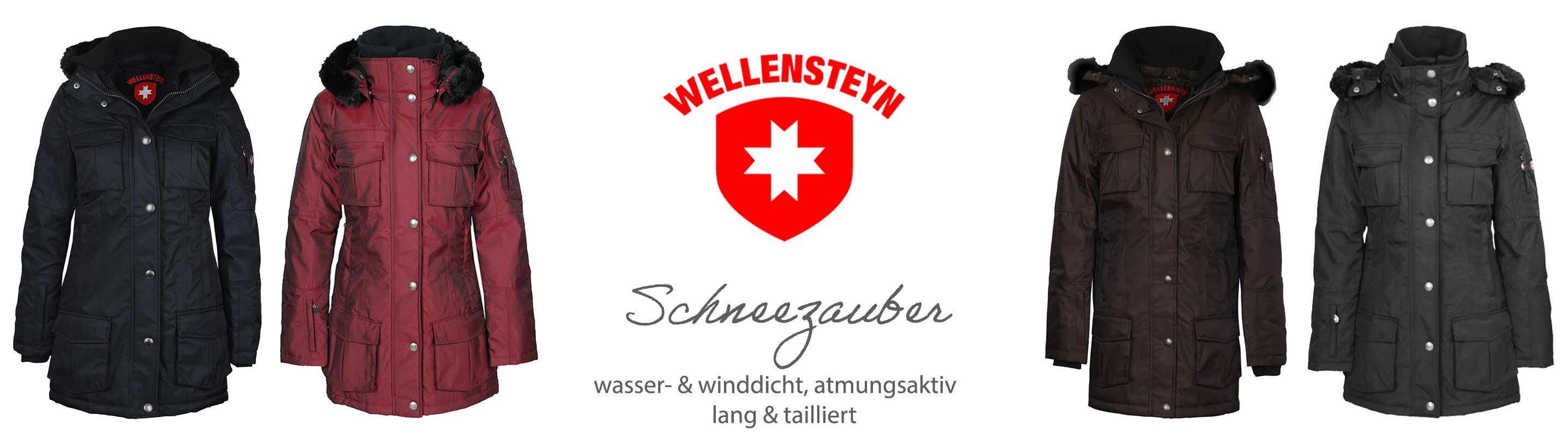Wellensteyn Schneezauber