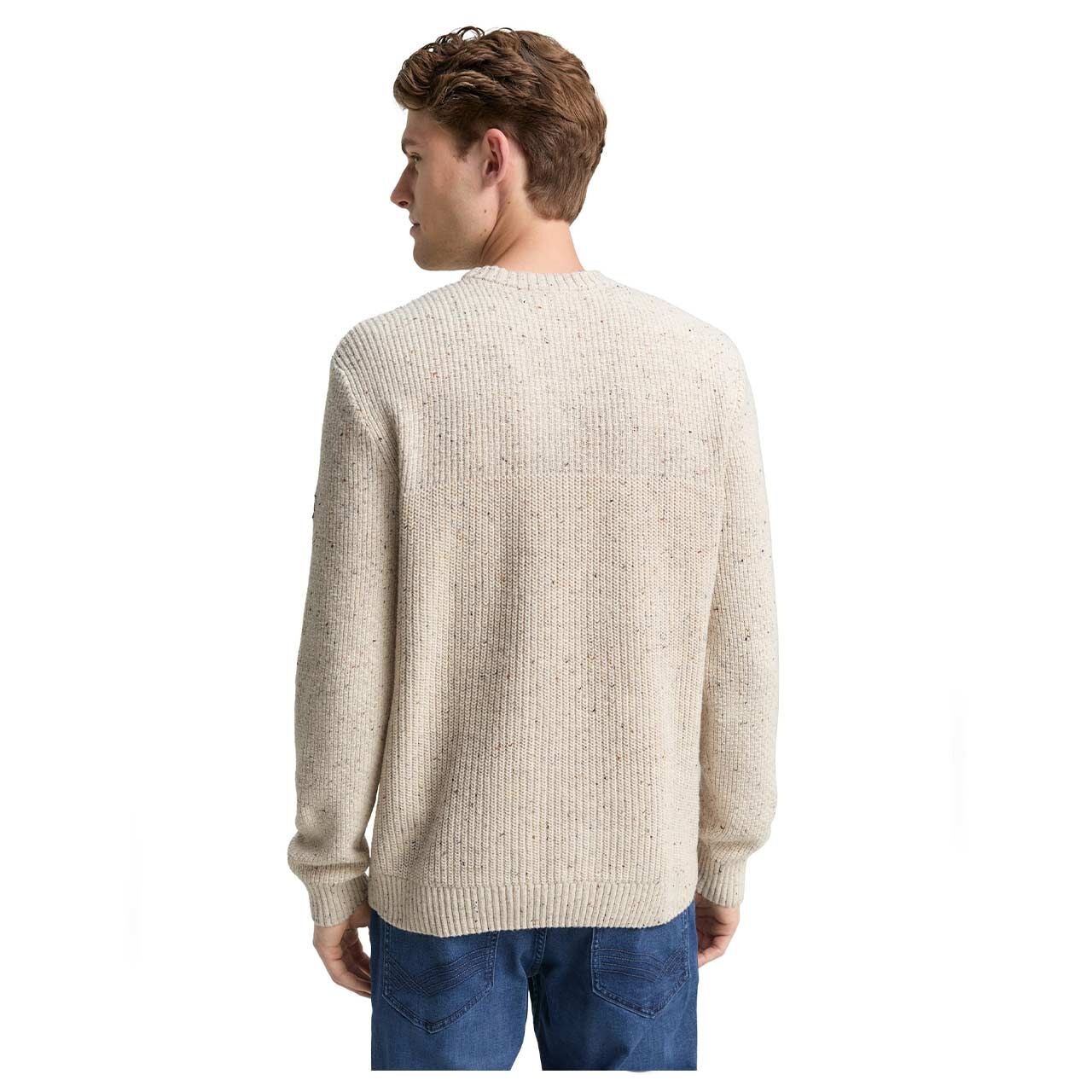Herren Pullover Structured Mix Crewneck Knit von Tom Tailor in Cremeweiß meliert, Rückansicht am Model
