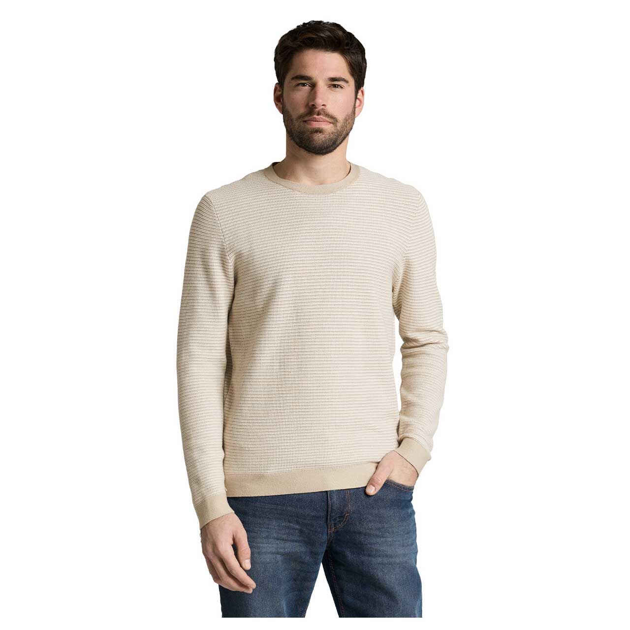 Herren Pullover Striped Crewneck von Tom Tailor in Beige, Vorderansicht am Model