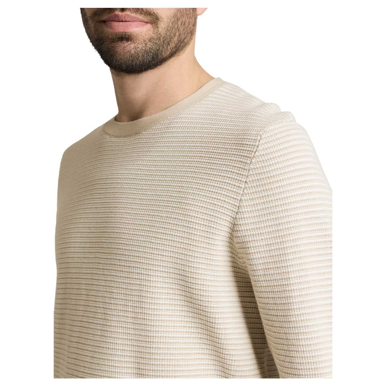 Herren Pullover Striped Crewneck von Tom Tailor in Beige, Detailansicht vorne am Model